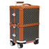 Goyard Bourget PM Trolley Case Black / Tan